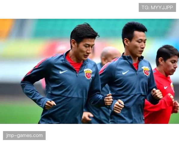 奥德加德国家队前景