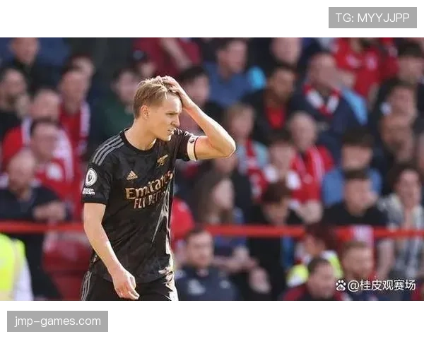 厄德高为何评价两极分化？技术风格与战术适配性关键解析